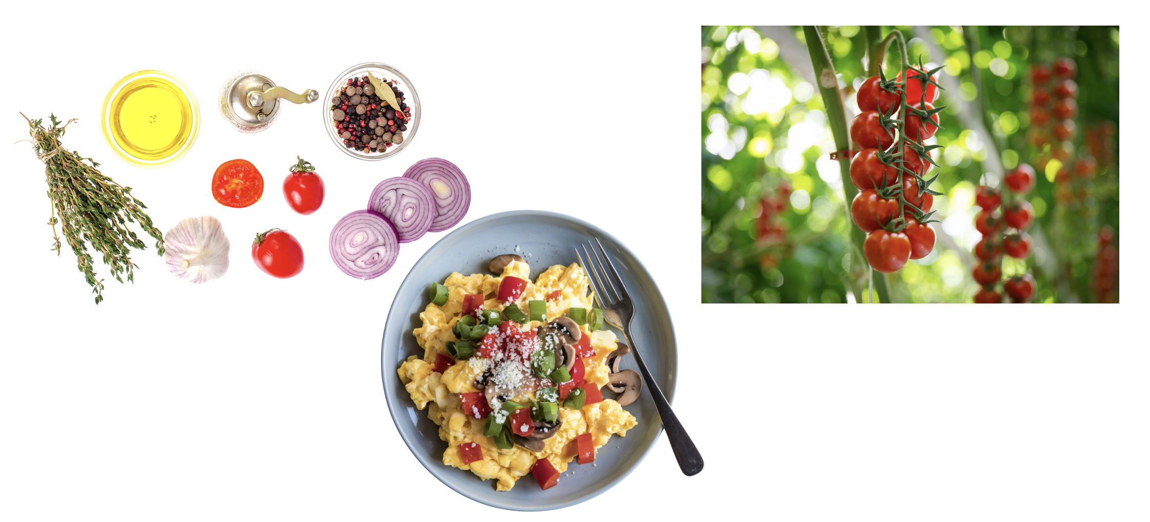 Bildercollage die dieses Rezept abbildet: Rezept: Brudet-Rührei – inspiriert von der dalmatinischen Küche Brudet ist eigentlich ein Fischeintopf. Aber die Basis – Tomaten, Zwiebeln, Wein, Kräuter – macht auch als Ei-Gericht eine fantastische Figur. Zutaten (für 2 Personen): 4 Eier (Lieblings-Ei) 2 Tomaten, gewürfelt 1 Zwiebel, fein gewürfelt 2 Knoblauchzehen 50 ml Weißwein (oder Fischfond) Frischer Rosmarin und Thymian Olivenöl, Salz, Pfeffer